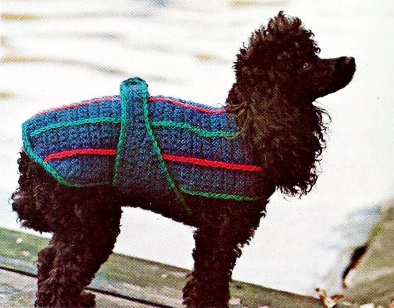 Crocheted Dog Sweater Digital Download Vintage Crochet Pattern Etsy