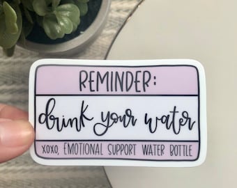 Emotional Support Water Bottle Sticker / Mental Health Sticker / Funny ...