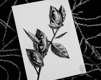 Eyesolation Art Print