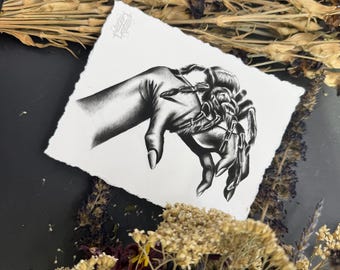 Tarantula Art Print | Black & Grey Illustration