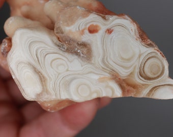 Kokoweef Caverns Stalactite Specimen - Polished End - Aragonite - Stalactite