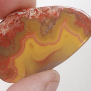 Kentucky Agate Preform Cabochon - Tumbled - Polished
