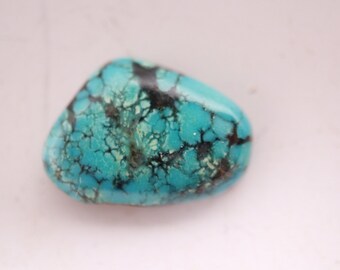 Turquoise Cabochon