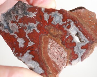 Paul Bunyan Plume Agate Slab