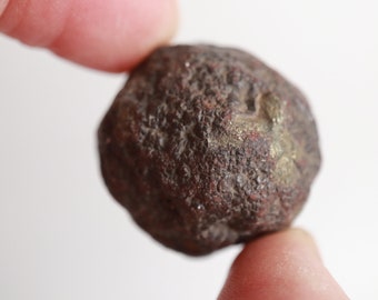 Moqui Ball - Pyritized - Pyritized - Desert Concretion - Utah - Iron and Sandstone Concretion - 30 mm