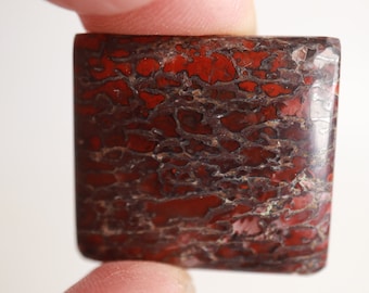 Dinosaur Bone - Red Dino Bone -   Cabochon