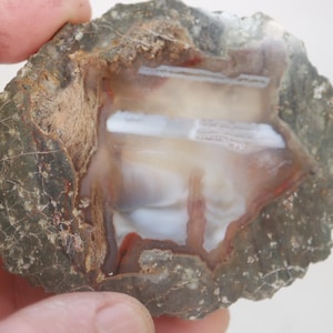 May include: A cross-section of a geode, showcasing a cavity lined with white and translucent layers. The outer shell is a mottled mix of gray, brown, and reddish hues, with a rough, textured surface. The geode is held in a hand.
