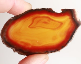 Polished Brazilian Agate Specimen Slab - Tortoise Shell Pattern