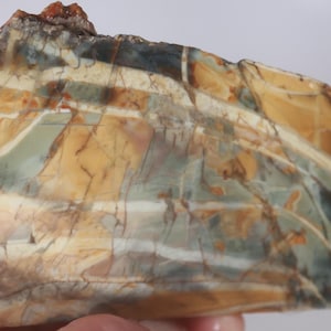 May include: A polished stone with a layered pattern of tan, blue-green, and white bands. The stone has a rough, natural edge and a polished surface. The colors are earthy and the overall appearance is organic.