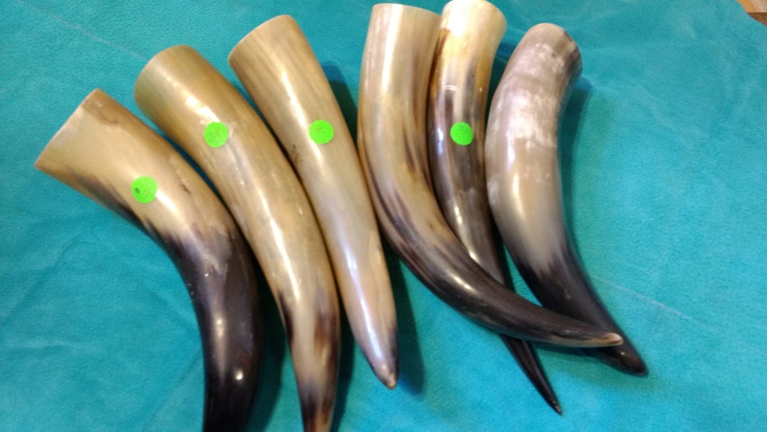 Large Drinking Horn Etsy