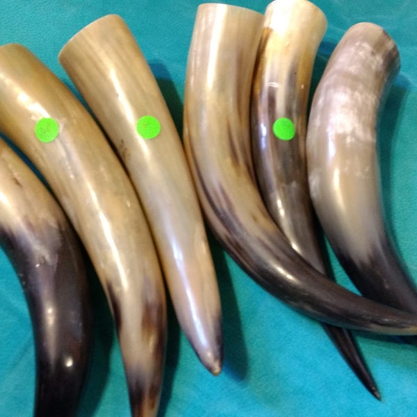 Drinking Horn Etsy