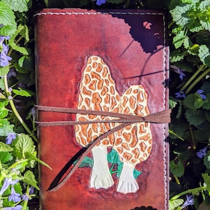 Morel Mushroom Journal