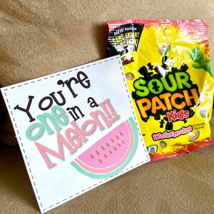 Può includere: Un biglietto bianco con il testo "You're one in a Melon!" e un'illustrazione di anguria rosa e verde. Accanto al biglietto c'è una piccola bustina di caramelle Sour Patch Kids al gusto anguria.