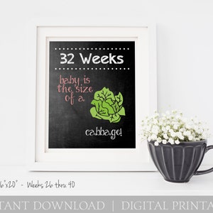 Weekly Pregnancy Chalkboard Baby is the Size of a.... Every Week / 16x20 DIGITAL Printable Maternity Photo Prop / Set of 15