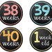 Weekly Pregnancy Chalkboard Stickers DIGITAL / Iron on Transfer ...