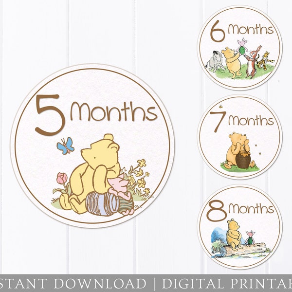 Baby Monthly Stickers - Winnie the Pooh Vintage Classic - Iron On Transfer - DIGITAL Milestone Photo Prop - Baby Shower Printable