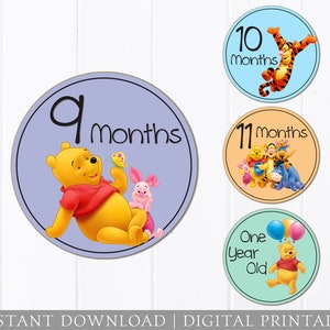 Pegatinas mensuales del bebé - Winnie the Pooh - Hierro en transferencia - Digital Milestone Photo Prop - Baby Shower Imprimible