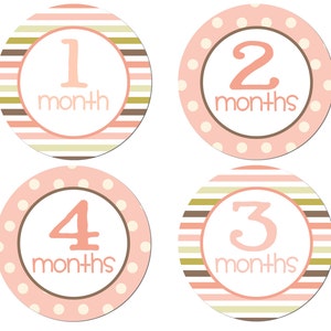 Baby Monthly Stickers - Iron On Transfer - DIGITAL Print at Home Milestone Photo Prop - Joanie - Baby Shower Gift Month to Month Printable