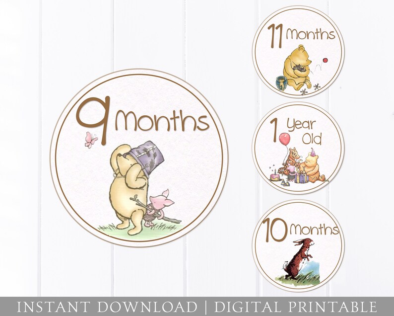 Baby Monthly Stickers - Winnie the Pooh Vintage Classic - Iron on ...
