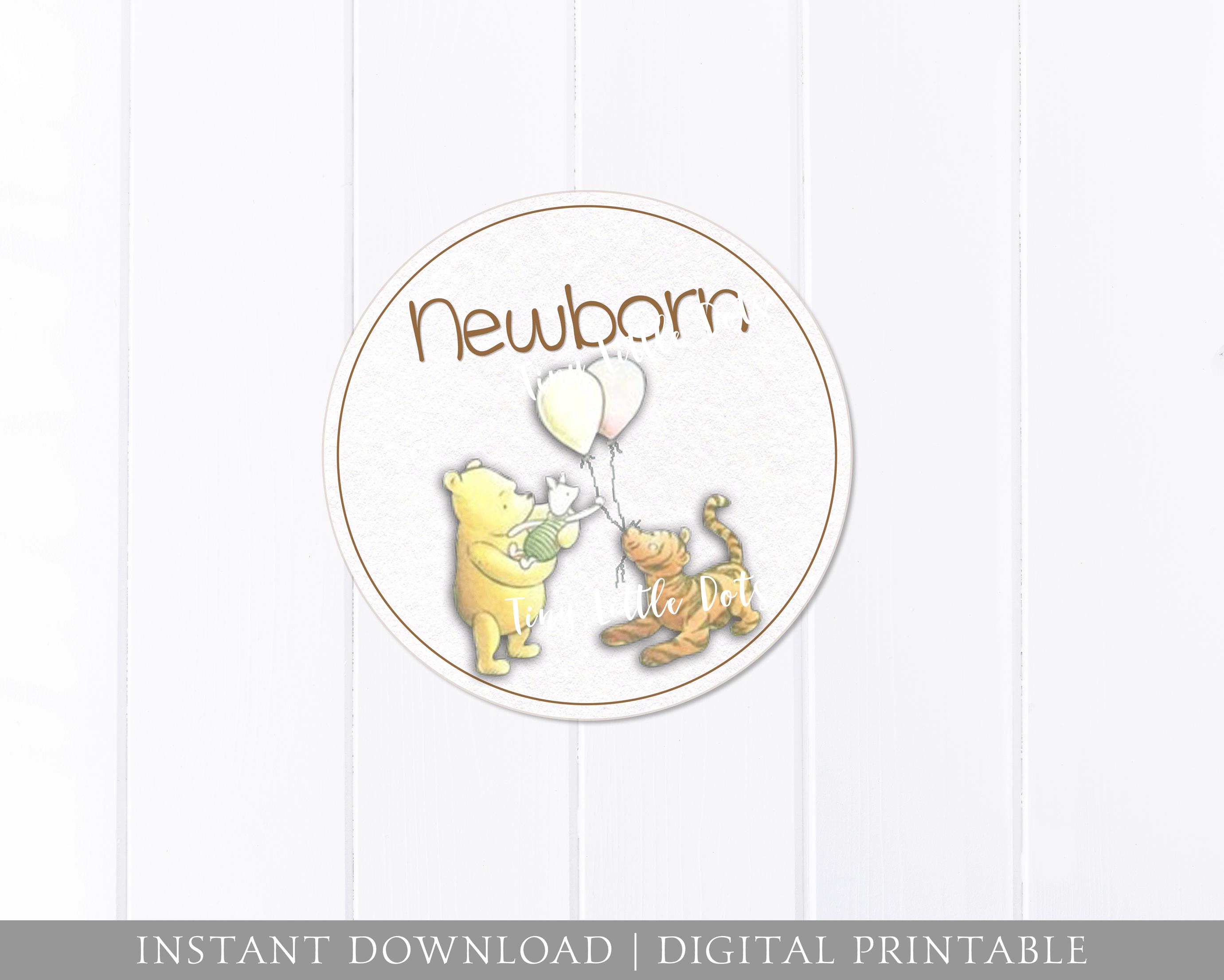 Baby Monthly Stickers - Winnie the Pooh Vintage Classic - Iron on ...