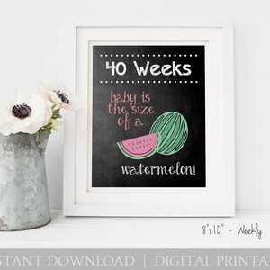 Weekly Pregnancy Chalkboard Baby is the Size of a.... Every Week / 8x10 DIGITAL Printable Maternity Photo Prop / Set of 35