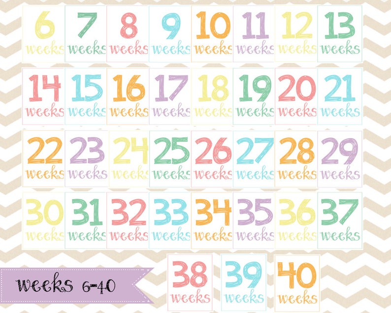 Weekly Pregnancy Signs / 8x10 DIGITAL Printable Maternity Photo Prop ...