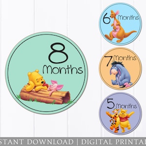 Baby Monthly Stickers - Winnie the Pooh - Iron on Transfer - DIGITAL ...