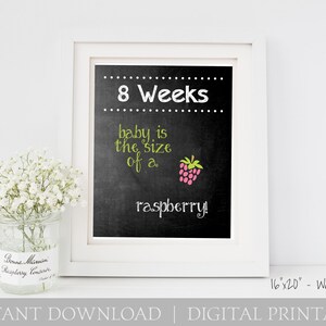 Weekly Pregnancy Chalkboard Baby is the Size of a.... Every Week / 16x20 DIGITAL Printable Maternity Photo Prop / Set of 20