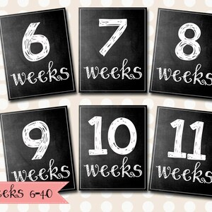 Weekly Pregnancy Chalkboard / 8x10 DIGITAL Printable Maternity Photo Prop / Set of 35