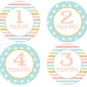 Baby Monthly Stickers - Iron On Transfer - DIGITAL Print at Home Milestone Photo Prop - Baby Shower Gift Month to Month Printable