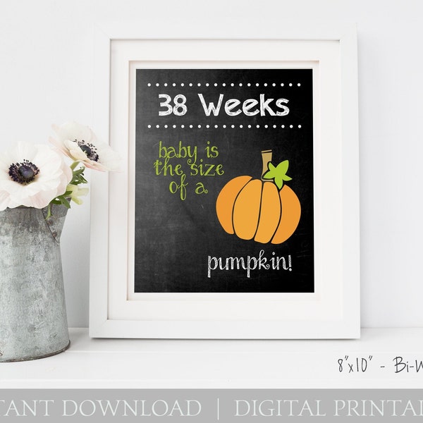 Pregnancy Chalkboard Baby is the Size of a.... Every Two Weeks / 8x10 DIGITAL  Weekly Printable Maternity Photo Prop / Set of 17