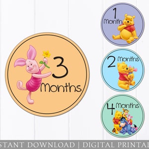 Baby Monthly Stickers - Winnie the Pooh - Iron on Transfer - DIGITAL ...