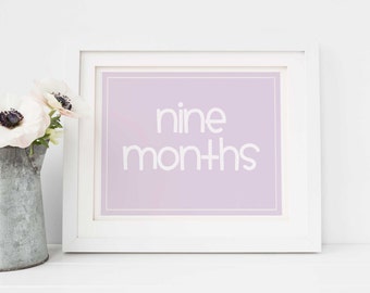 Baby Monthly Signs Lavender / Baby's First Year / 8x10 Printable Monthly Photo Prop / DIGITAL Milestone Signs / Set of 16