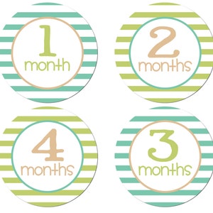 Baby Monthly Stickers - Iron On Transfer - DIGITAL Milestone Photo Prop - Coral Reef - Baby Shower Gift Month to Month Printable