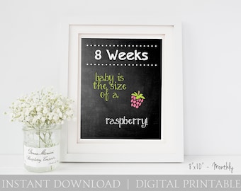 Pregnancy Chalkboard Baby is the Size of a.... Monthly / 8x10 DIGITAL Weekly Printable Maternity Photo Prop / Set of 9