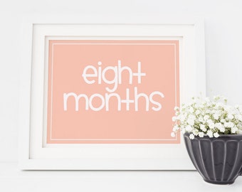 Baby Monthly Signs Peach Pink / Baby's First Year / 8x10 DIGITAL Monthly Photo Prop / DIY Printable Milestone Signs / Set of 16