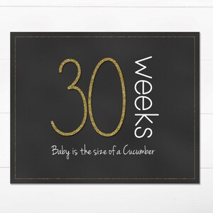 Weekly Pregnancy Chalkboard Baby is the Size of a.... Every Week / Gold Subway Art / 8x10 DIGITAL Printable Maternity Photo Prop / Set of 35