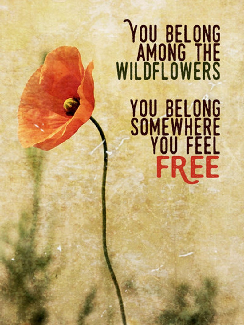 tom petty lyrics tom petty lyrics