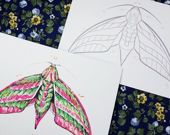 Colouring Print Bundle | Elephant Hawk-Moth | A5 Art Print, Colouring in for Adults, Craft Project, Coloring Kit, DIY, Activity