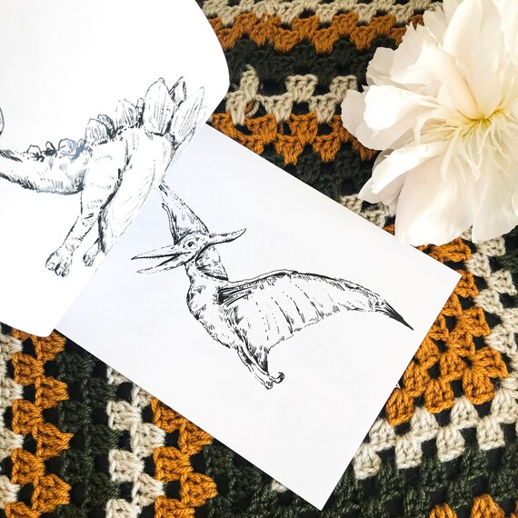 Dinosaur Colouring Book!