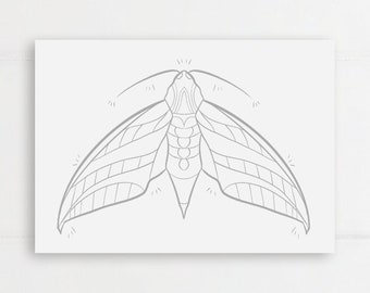 | d’impression à colorier Elephant Hawk-Moth | A5 Coloriage en impression pour adultes, projet d’artisanat, bricolage