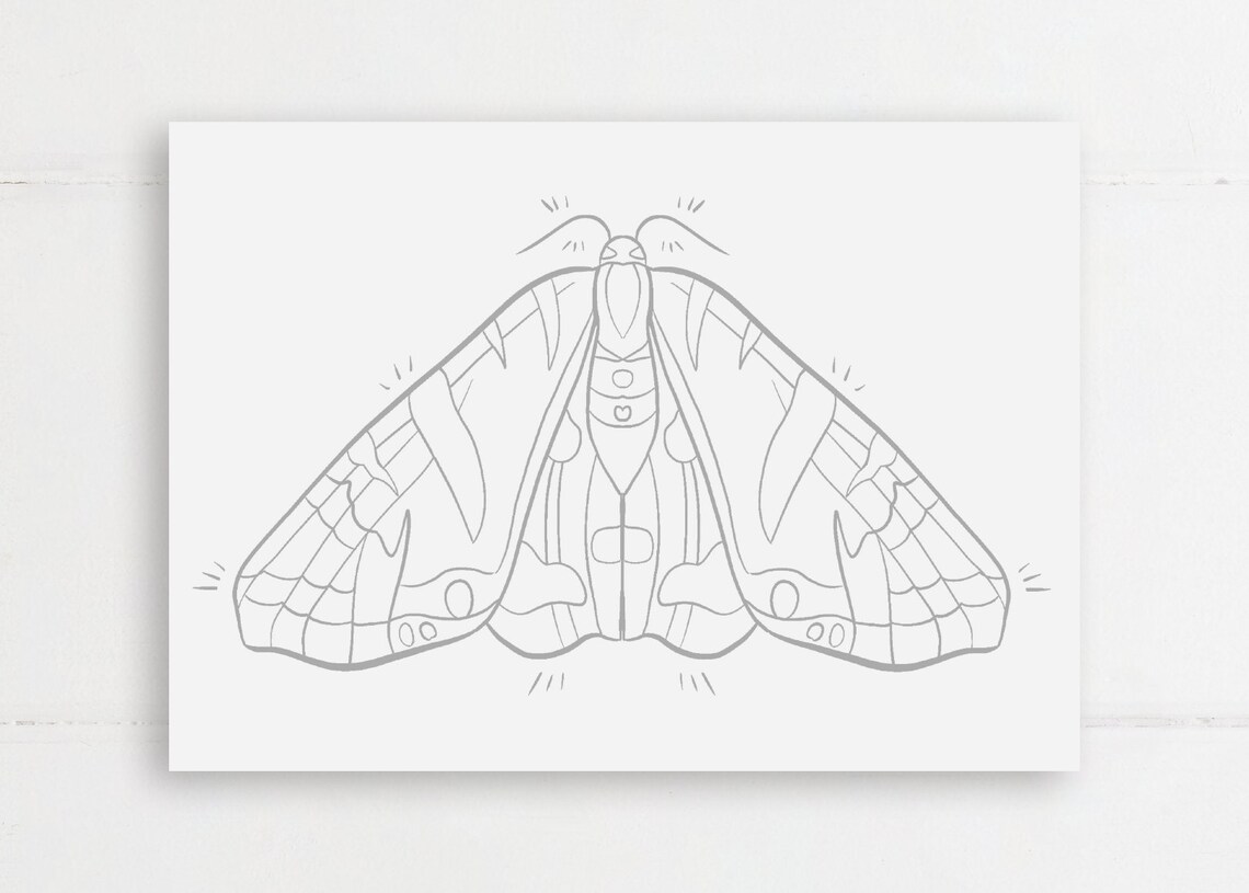 Colouring Print Jersey Tiger Moth A5 Colouring Print For Etsy