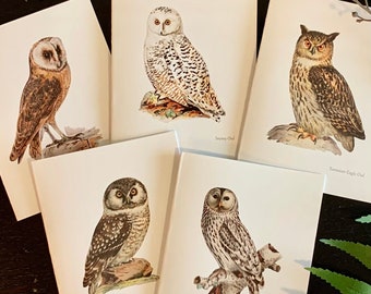 Vintage Owl Stationery. 12 Cards on Heavy White Paper:  Barn, Boreal, Ural, Snowy, Long Eared and Eurasian-Eagle Owl. With White Envelopes