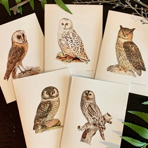 Vintage Owl Stationery. 12 Cards on Heavy White Paper:  Barn, Boreal, Ural, Snowy, Long Eared and Eurasian-Eagle Owl. With White Envelopes