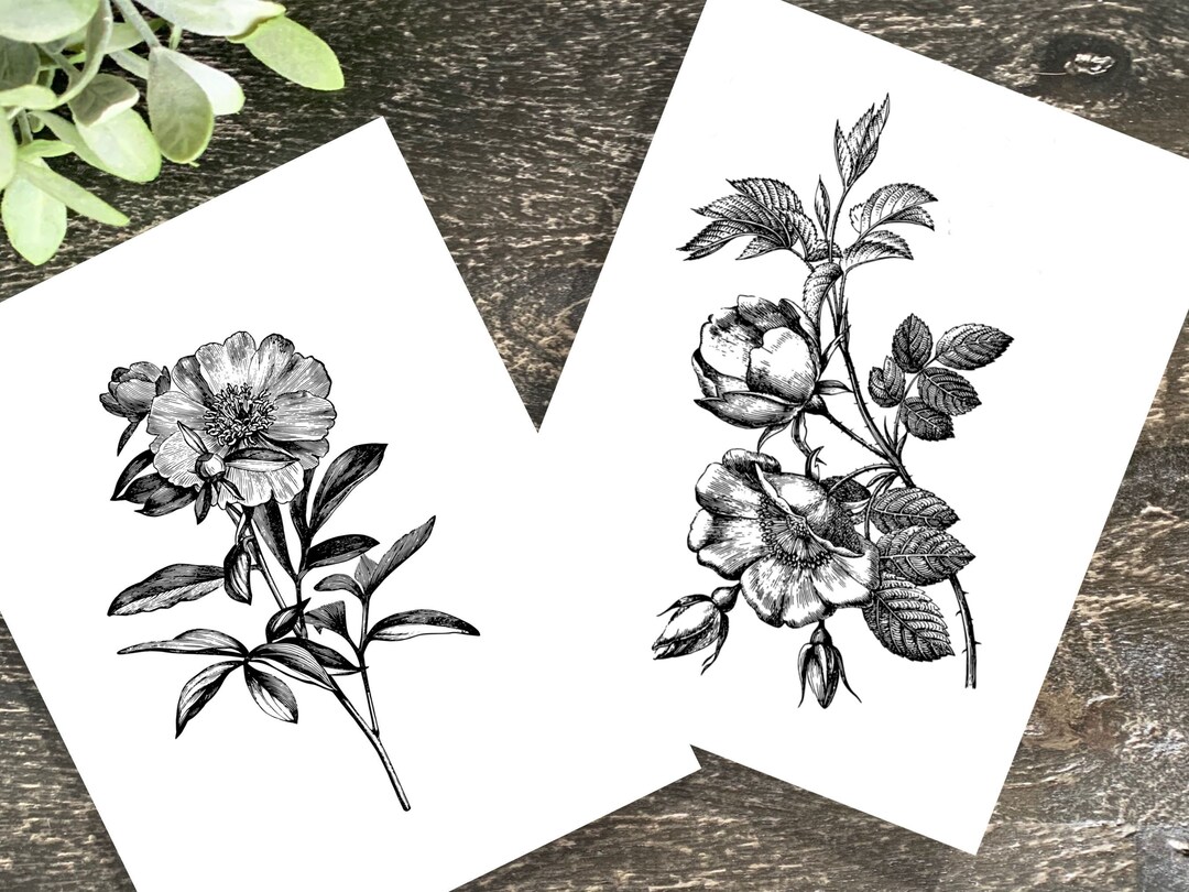 Floral Line Art Stationery 12 Notecards Set 2 on Heavy White Cardstock ...