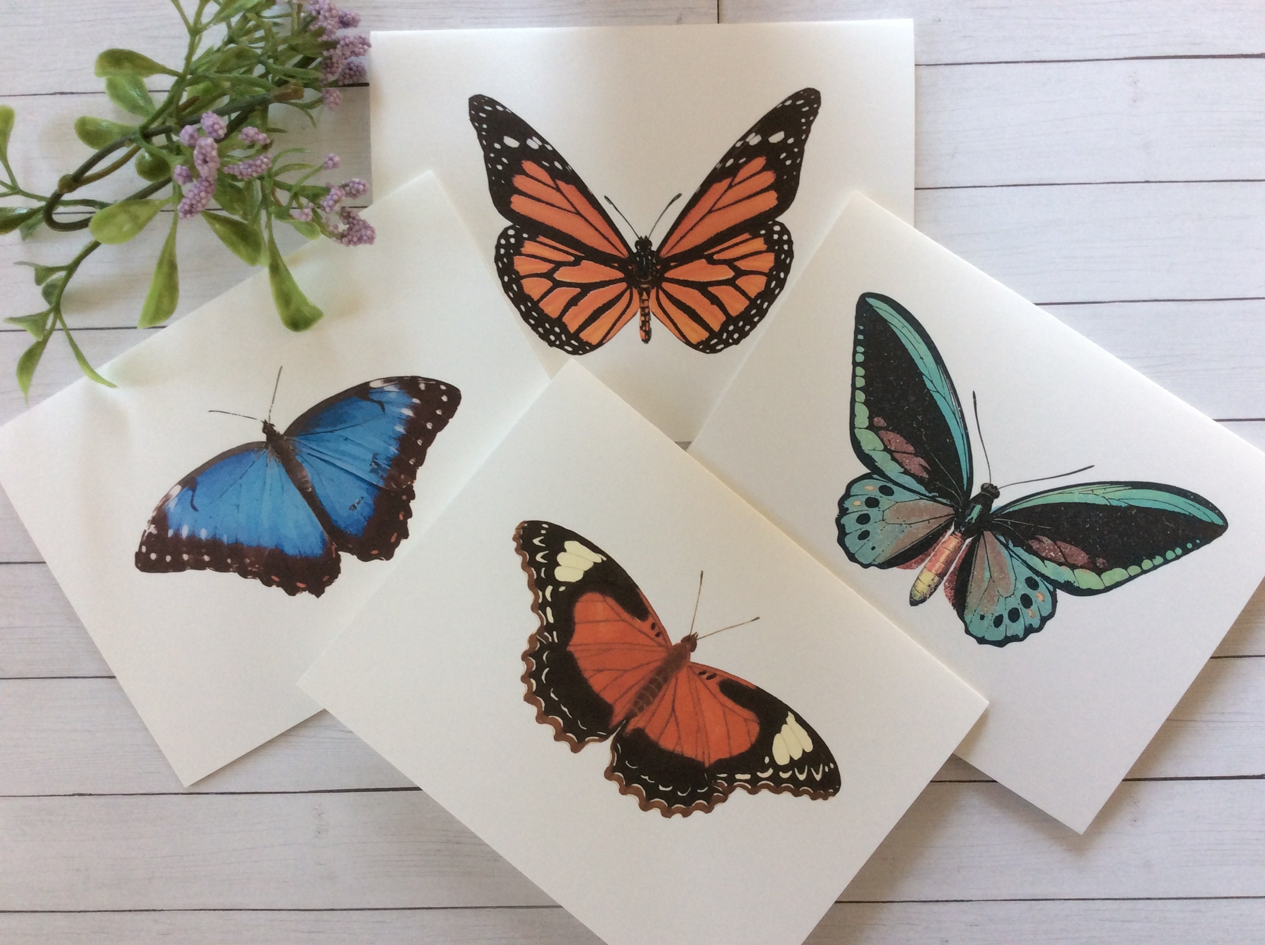 Pen Pal Monarch Butterfly Kit Writing Paper Set pretty Writing Paper Sheets  for Fountain Pen or Typewriter Machine Notepaper/ Briefpapier 