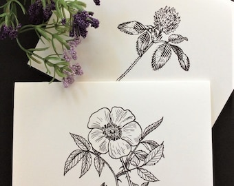 Line Art Floral Stationery 12 Notecards Set 1 with White Envelopes - Hydrangea Bachelor Button Wild Rose Thistle Clover Dogwood