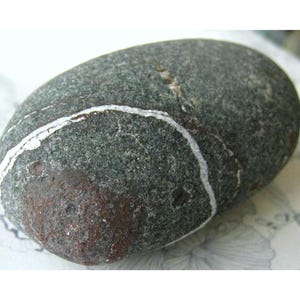 Pierre de plage du lac Ontario : rocher des vœux, annelé (59 mm x 34 mm x 27 mm)