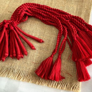 May include: A bundle of red tassel cords with long, thin strands. The cords are twisted and have a rough texture. The tassels are all the same size and are arranged in a fan shape.