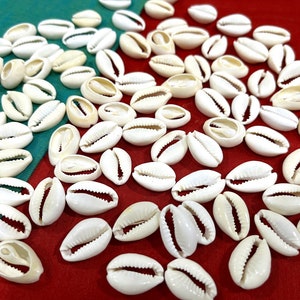 Sliced Cowry Shells, Real Cowrie Beads, Decorative Beads, Indian Craft Supplies, DIY Projects - 100 pcs